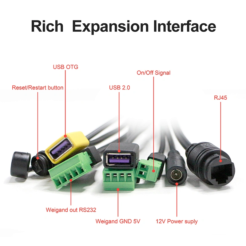 1080P Face Recognition Access Binocular Camera original Temperature detecting Solution