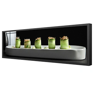 19.1 Inch Wall Mounting Ultra Wide Hd Screen High Resolution Thin Stretch Display Monitor stretch display