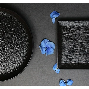 Black and White Colored Chinaware Porcelain Rectangular plates for Hotel and Restaurant