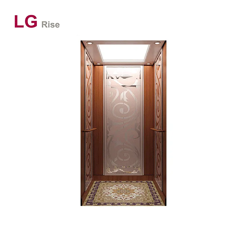 Home elevator LG
