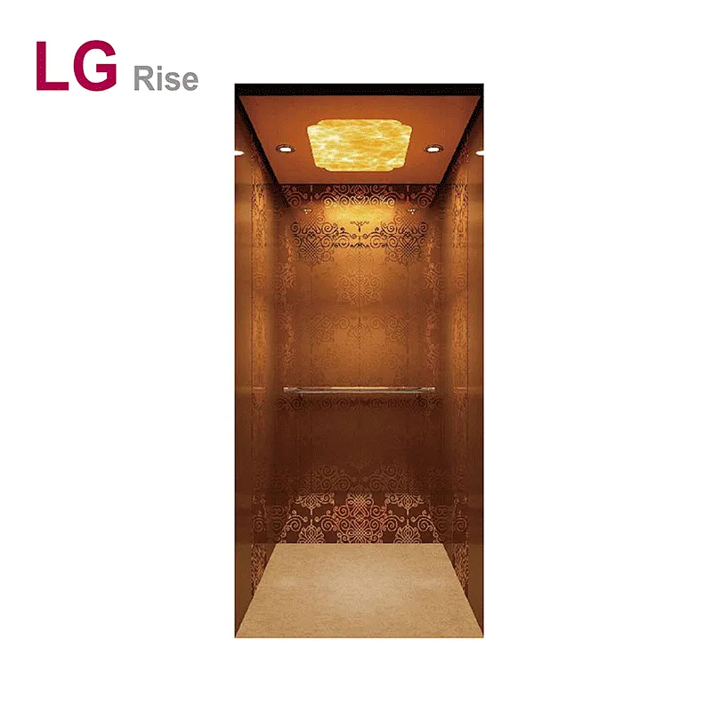 Home elevator LG