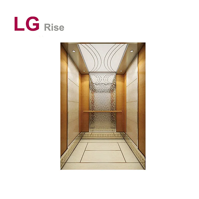 Passenger Elevator LG
