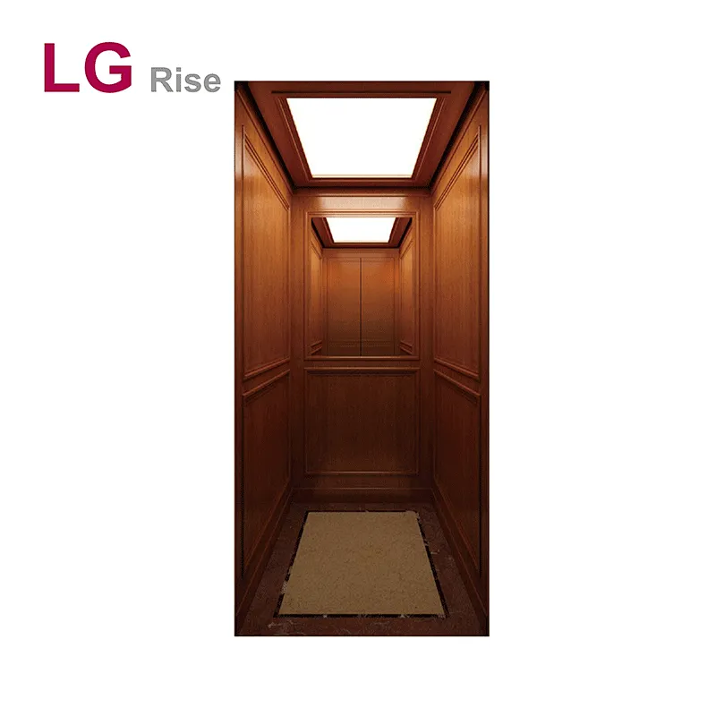Home elevator LG