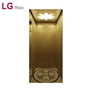 Home elevator LG