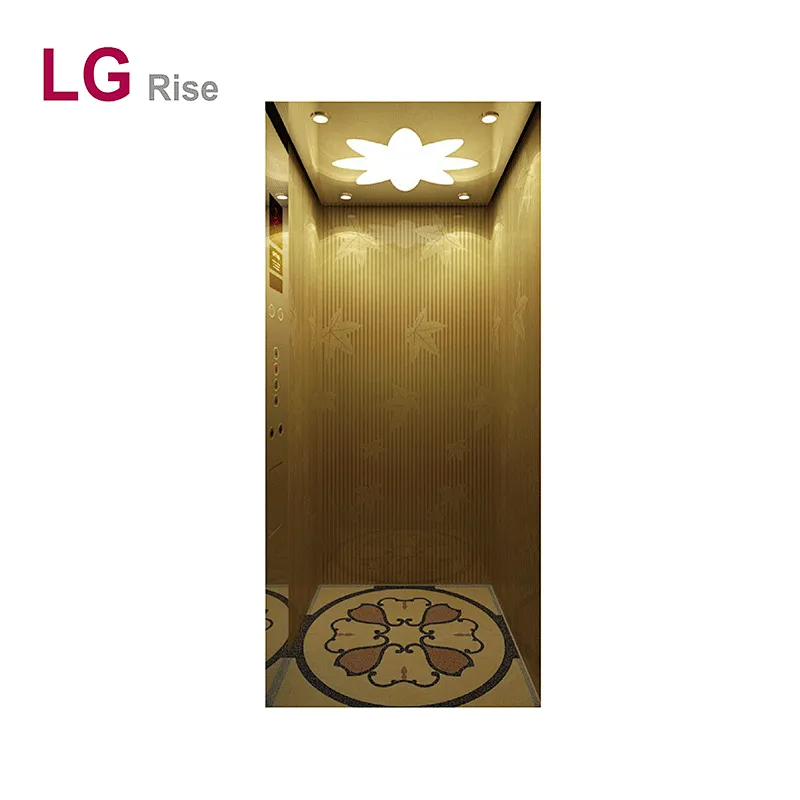 Home elevator LG