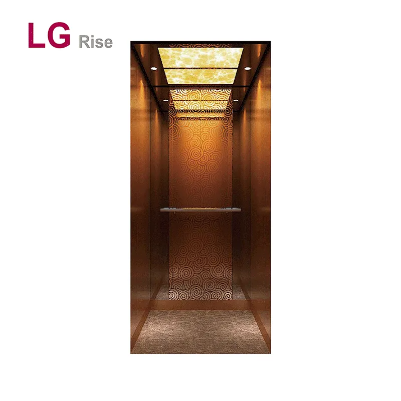 Home elevator LG