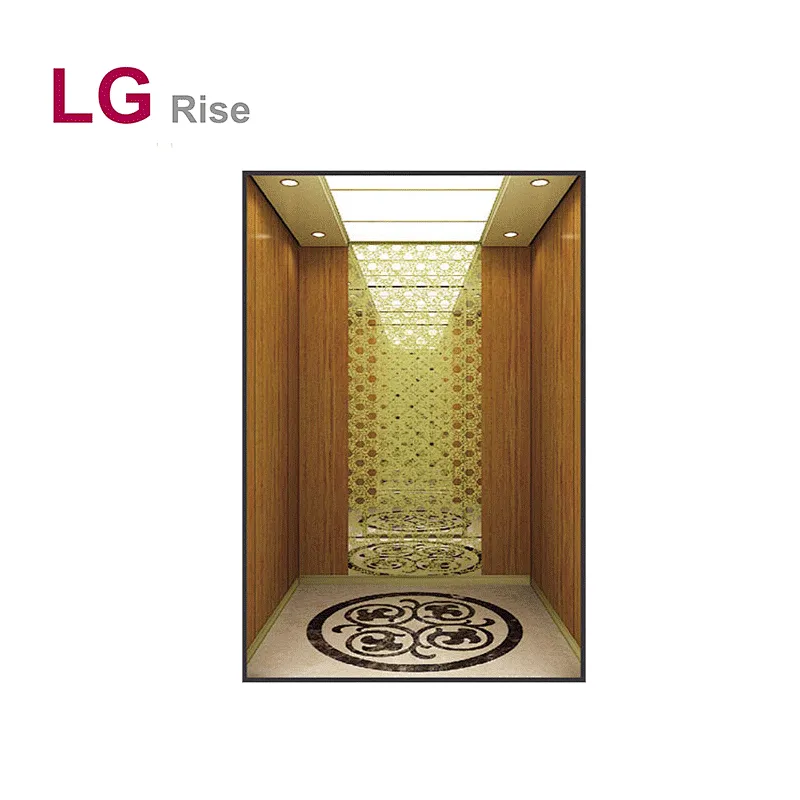 Passenger Elevator LG