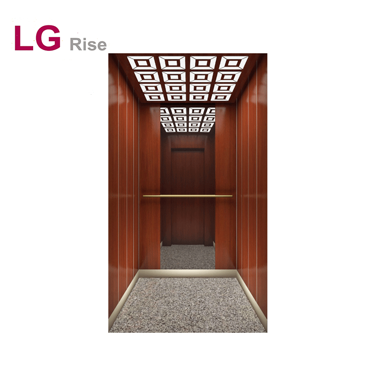 Home elevator LG