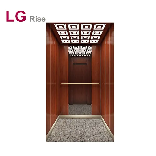 Home elevator LG