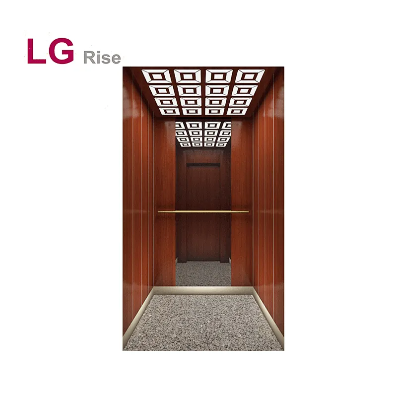 Home elevator LG