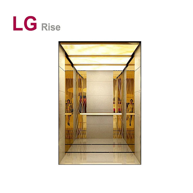 Passenger Elevator LG