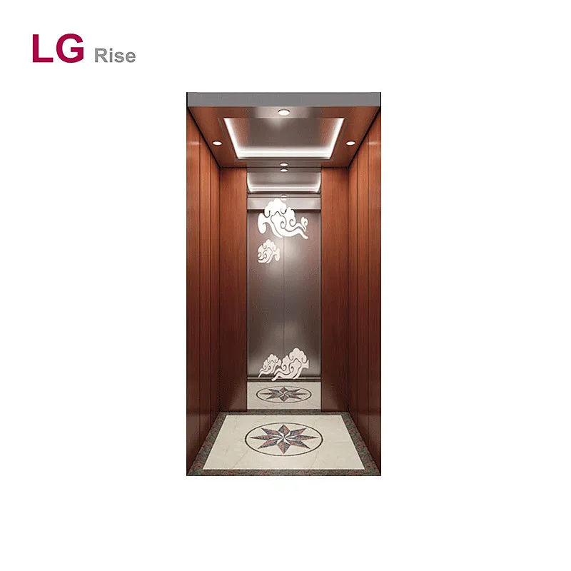 Home elevator LG