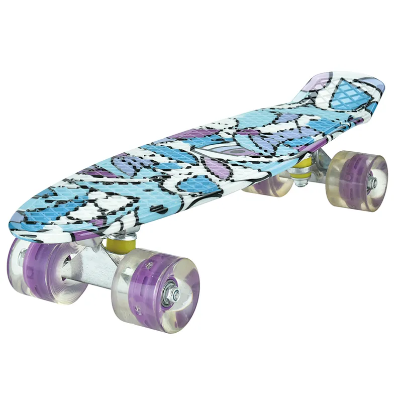 EC-B02W