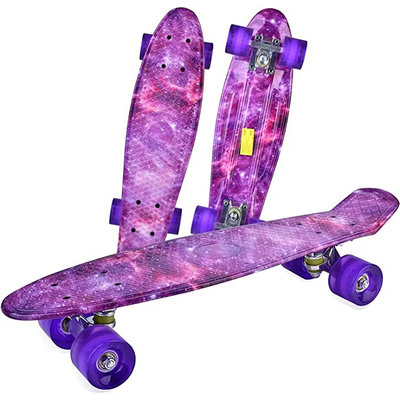 EC-B02W