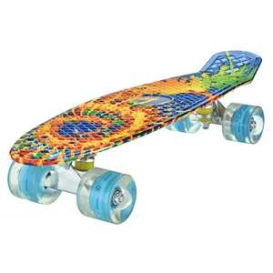 EC-B02W