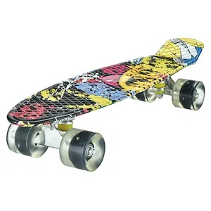 EC-B02W