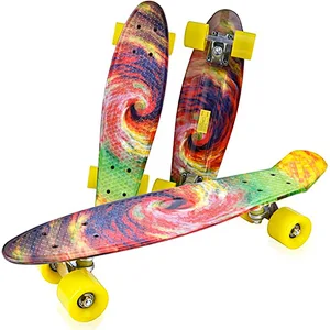 EC-B02W