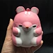Slow Rising Squishy Toy