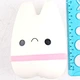 Slow Rising Squishy