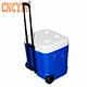 Cooler Box Blow Molding