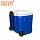 Blow molded fishing cooler