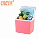 cooler box blowing mould