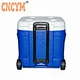 Cooler Box Blow Molding