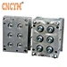 plastic spout cap mold manufacturer