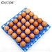 plastic egg tray mold manufacturer