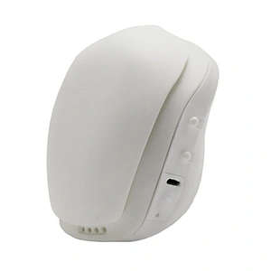 Intelligent electric Mask children W2 anti haze PM2.5 virus bacterial pollen dust COVID