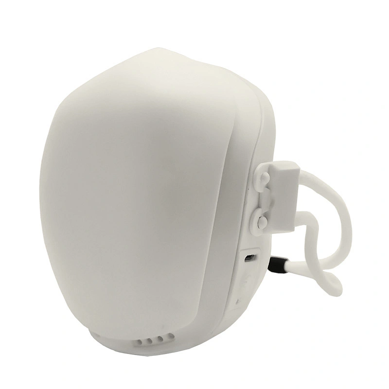 Intelligent electric Mask children W2 anti haze PM2.5 virus bacterial pollen dust COVID