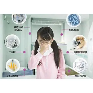 How to ensure indoor air quality in winter?
