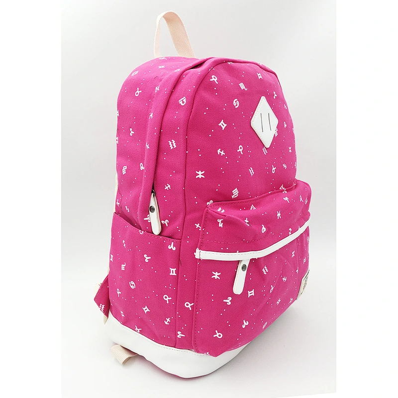Canvas School backpack