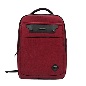 business backpack