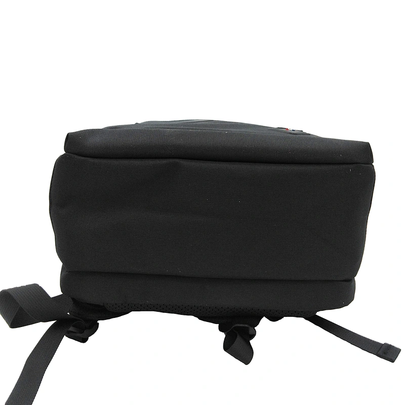 Business travel backpack  bag
