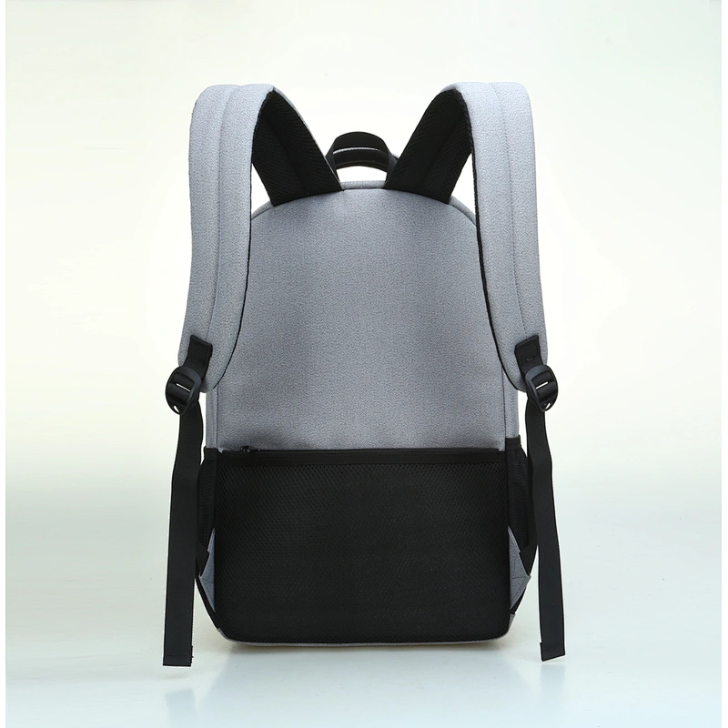 Business travel laptop bag