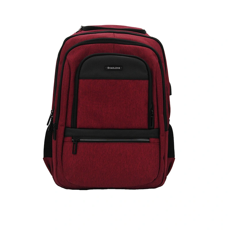 Business laptop backpack bag