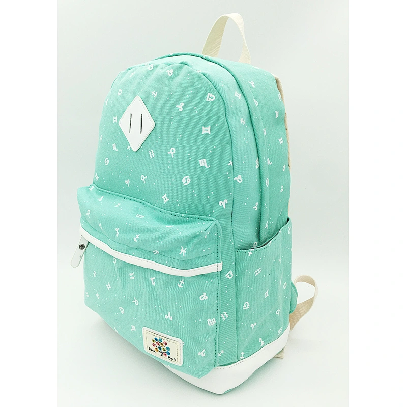 Canvas School backpack