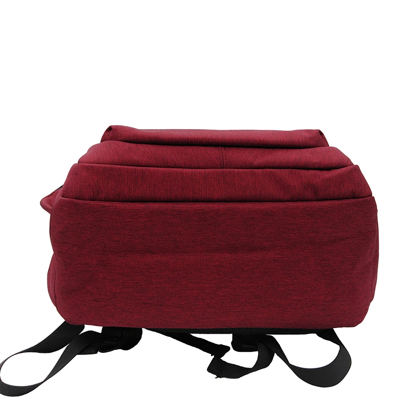Business laptop backpack bag