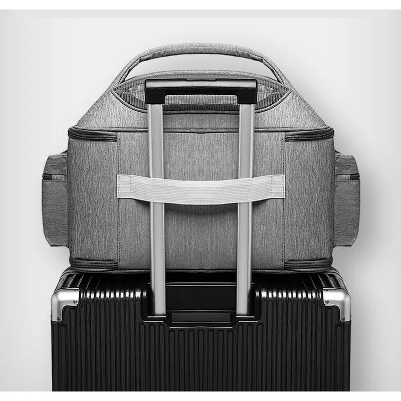 Tote Shoulder cat carrier