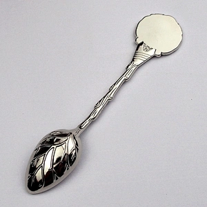 Souvenir Spoon