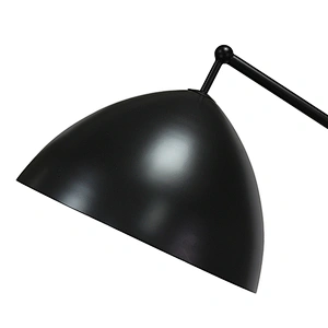 Matte  black metal floor lamp