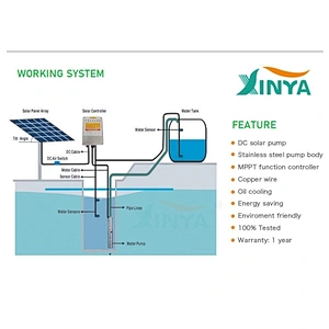 XINYA 3