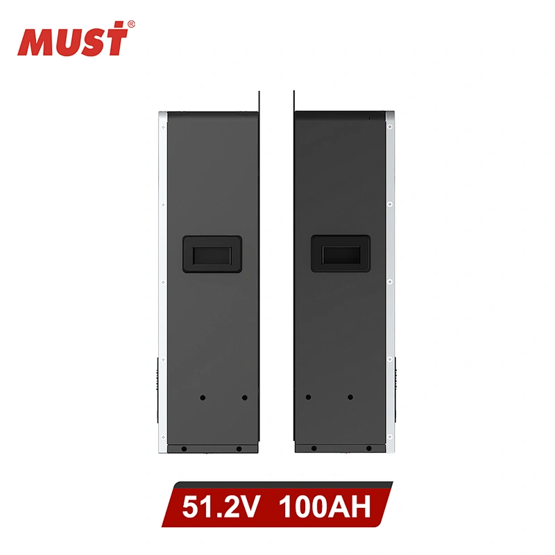 NEW !! MUST Lithium Battery 48V 50AH 100AH 200AH for Solar System Application