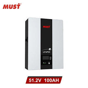 MUST Lithium Battery 24V 48V 50AH 100AH 200AH for Solar System Application 24 volt lithium ion battery charger