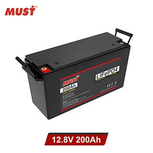 MUST 12.8 v lithium ion battery charger Lithium Ion Battery 100ah 200ah Lithium Ion Batteries price