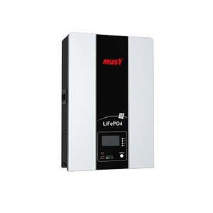 MUST Lithium Battery 48V 100AH support BMS