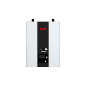 MUST POWER newly design lithium battery for home solar storgae