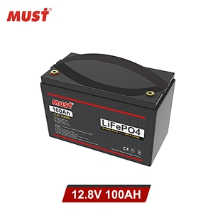 MUST Top Quality Lithium Battery Lifepo4 48v Lithium Ion Battery 100ah 200ah Lithium Ion Batteries price