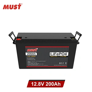 MUST 12 volt lithium battery charger Lithium Ion Battery 100ah 200ah Lithium Ion Batteries price